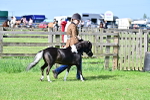 SBM_03378