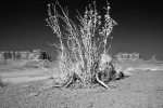 Utah- Arches, Monument Valley, Canyonlands portfolio