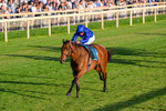 240726-Race 5-Diamond Rain-0550
