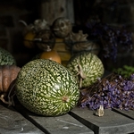 Squash