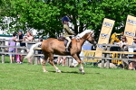SBM_08023