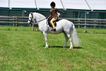 SBM_06071