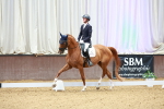 SBM_002726