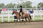 SBM_21797