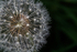 070518-4070