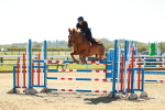 SBM_001590