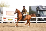 SBM_02905
