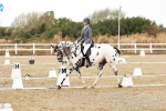 SBM_002674