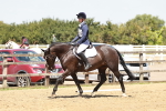 SBM_002524