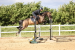 SBM_003863