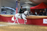 SBM_13929