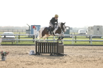 SBM_003604