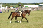 SBM_09219