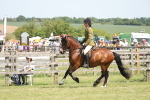 SBM_06947