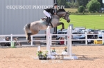 BPP_6784