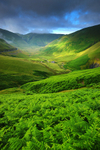 Dalveen Pass in Summer