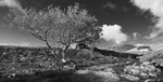 ISLE OF MULL LANDSCAPE PHOTOGRAPHY, SCOTLAND