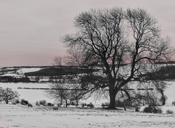Sunrise on the Wolds.