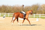 SBM_003429