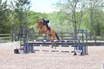 BPP_5481