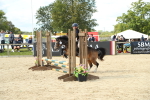SBM_39490