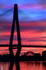 Anzac Bridge vertical