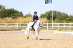 SBM_012196