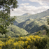 9232 Terranova di Pollino