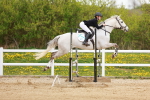SBM_005941