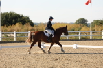 SBM_007050