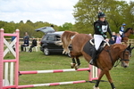 WJ6_7867
