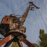 Pripyat River Cranes