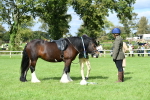 SBM_46916