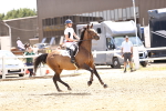 SBM_001240