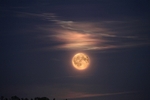 Woolston moonlights 1947