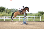 SBM_002935