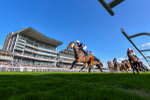 240824-Race 7-Sir Busker-4674
