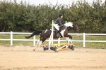 SBM_000329