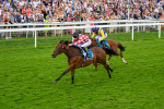 270724-Race 6-Ziggy-7531