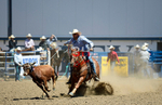 3HRodeo8-11-25_PRCASteer_04069_