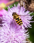 20110730-IMG_6204