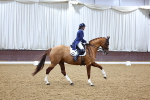 SBM_003355