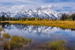 Autumn Grandeur