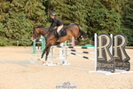 Cls 11 Snr Foxhunter portfolio