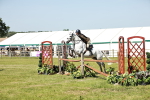 SBM_18449