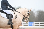 130-Kate.Kerswell-Top.Gun.RB portfolio