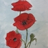 Poppies