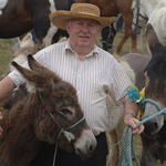18, Man with Donkeys, Spancil Hill Horse fair,Co.Clare
