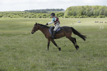 BVHT 140517  IXC -873