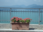 Flower planter in Albisano overlooking Lake Garda